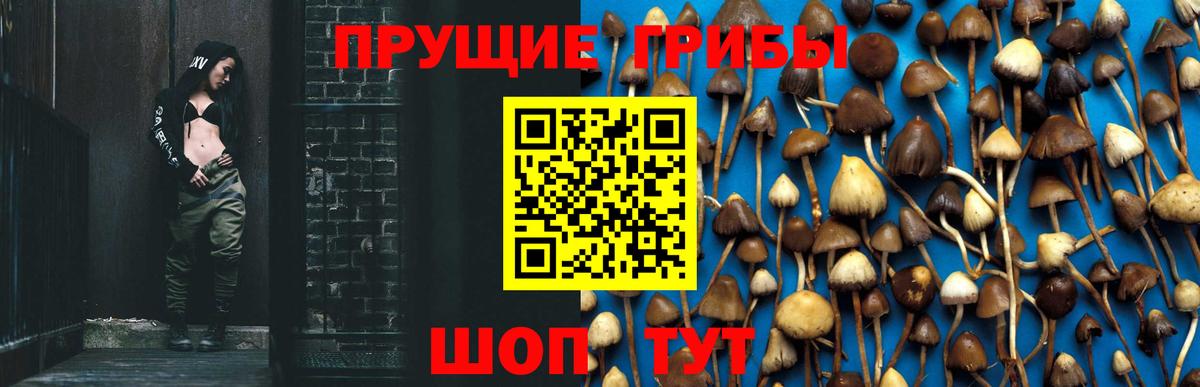 Галлюциногенные грибы Psilocybine cubensis  Вход с VPN  Нефтеюганск 